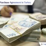 asset purchase - Business Immigration from Turkey to Canada in Immigration Law