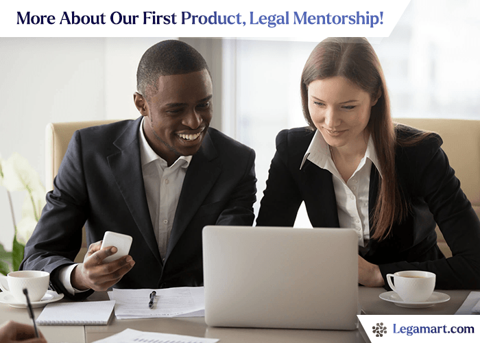 A law student taking legal mentorship from Legamart's experienced legal professional