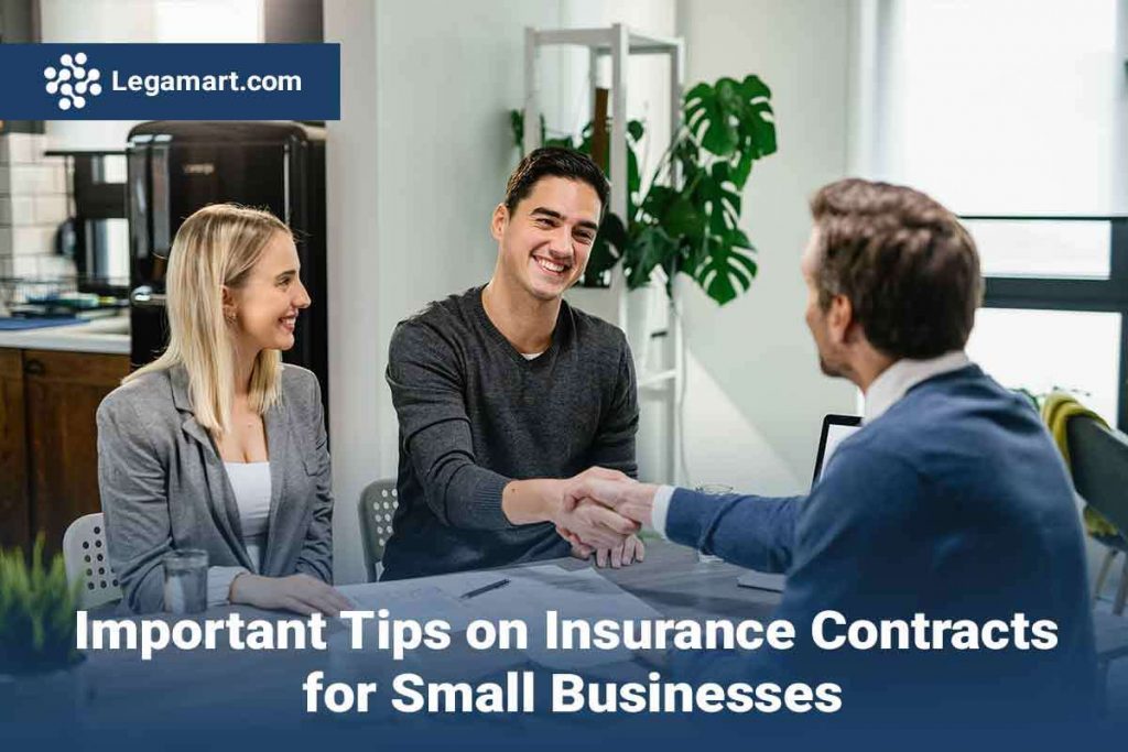 A legamart lawyer briefing client on Insurance contracts for small businesses