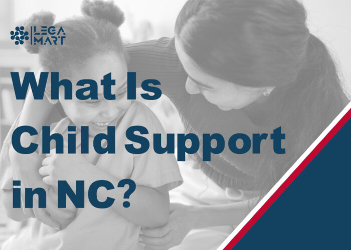 A mother playing with her child while she is filing for child support in NC