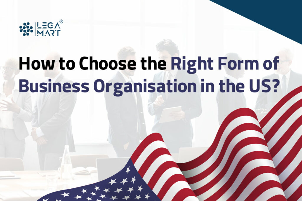 Tips to choose righy Form of Business Organisation in the US