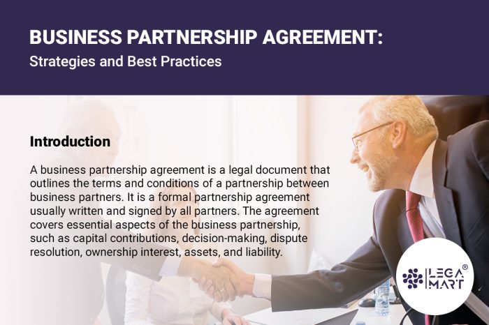 Business-Partnership-Agreement