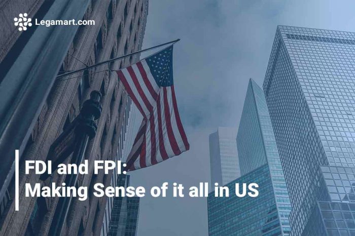 A poster with the US flag and the words "FDI and FPI in the US"