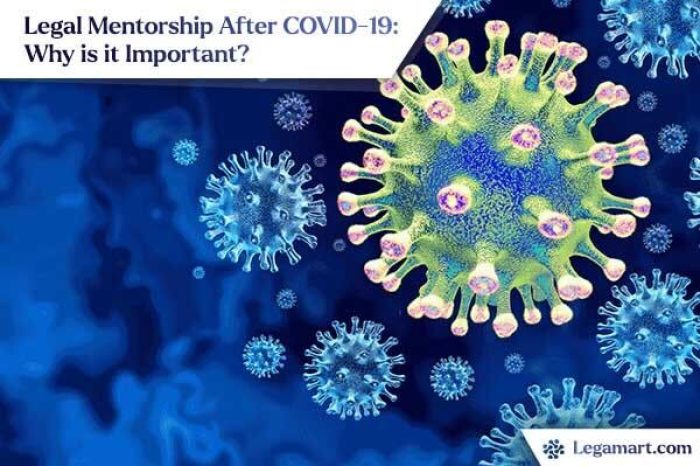 Covid virus cells banner for a legal mentorship session called "Legal Mentorship After COVID-19"